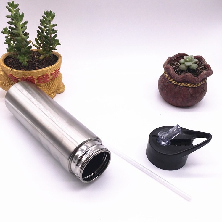 Stainless Steel Bottle, Water Bottle (SH-ST01)