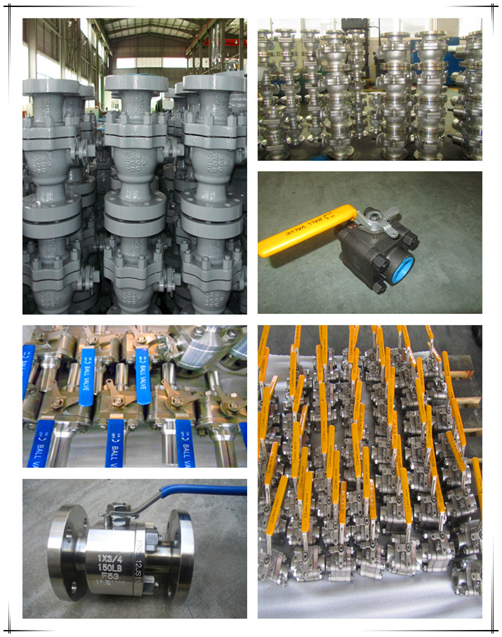 A105 Thread/NPT/Bw/Sw Forged Steel Ball Valve