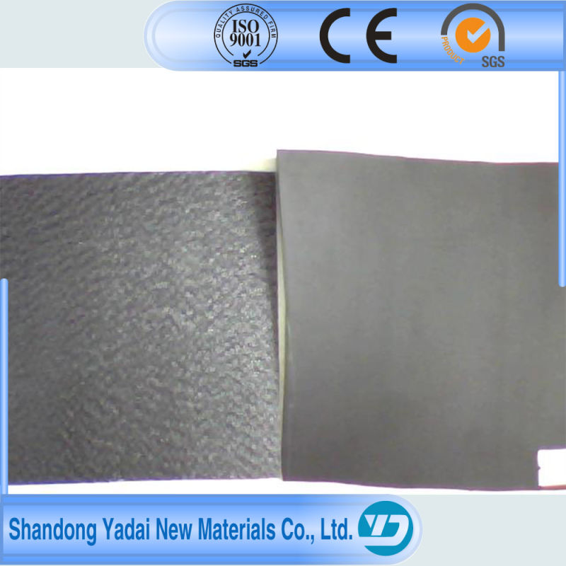 Factory's Bottom Price Geomembrane, All Kinds of Geosynthetics Supply