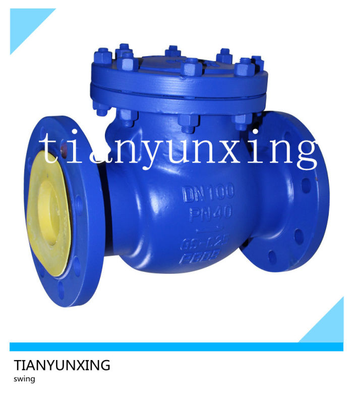 API DIN Casting Flanged Stainless Steel Swing Check Valve