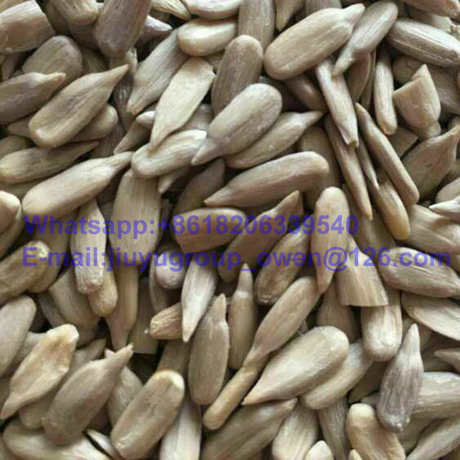 Lady Nail Top Quality Sun Flower Seeds Kernel