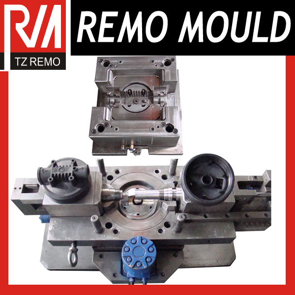 RM0301069 Plastic Injection Water Filter Mould