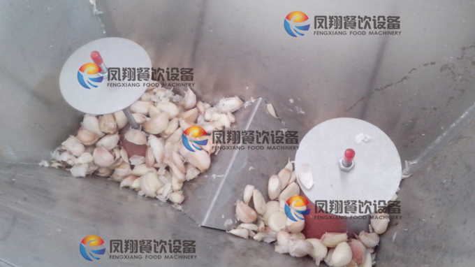 Large Type of Garlic Clove Peeler, Shallot Peeler Peeling Machine with Ce Approved