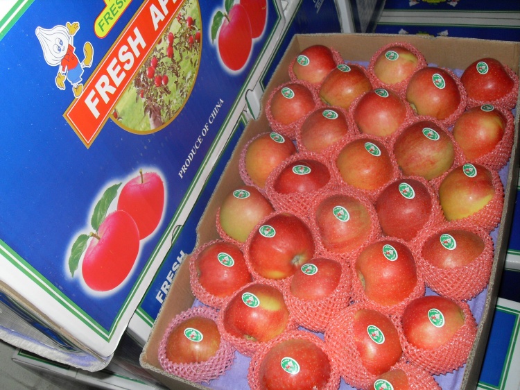 Fresh Gala Apple Export to Bangladesh in 20kg Carton (150-216#)