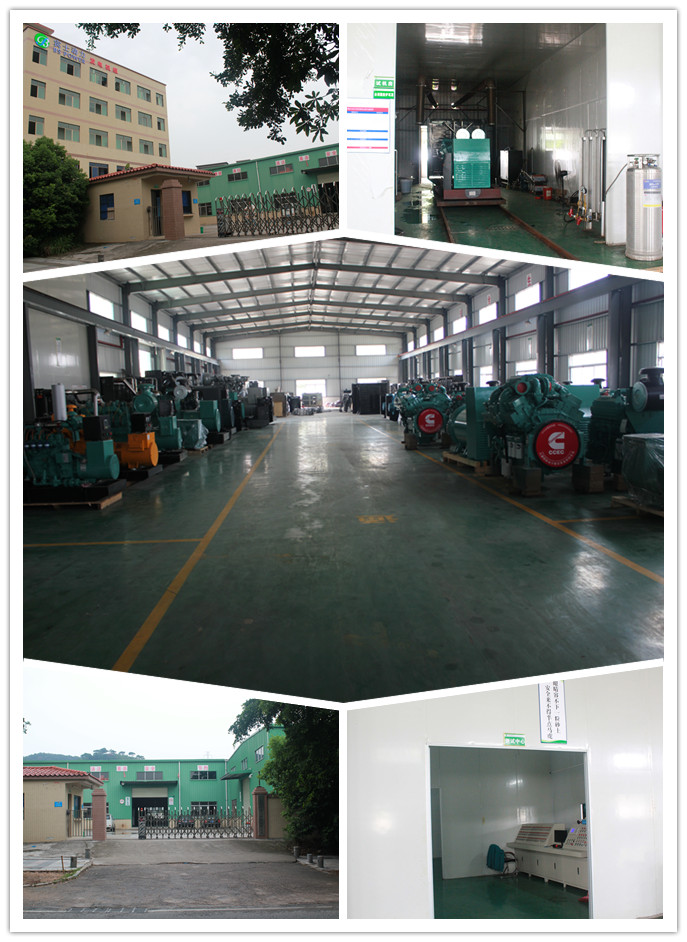 270kw Electric Diesel Power Generator Set with Yuchai Engine