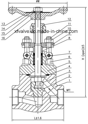 Forged Carbon Steel A105 Globe Valve