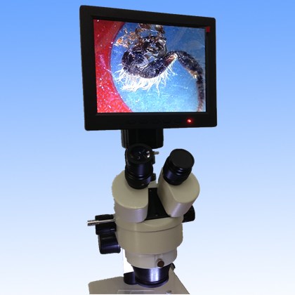 Stereo Microscope Digital Camera with 8'tft-LED Screen Dm001