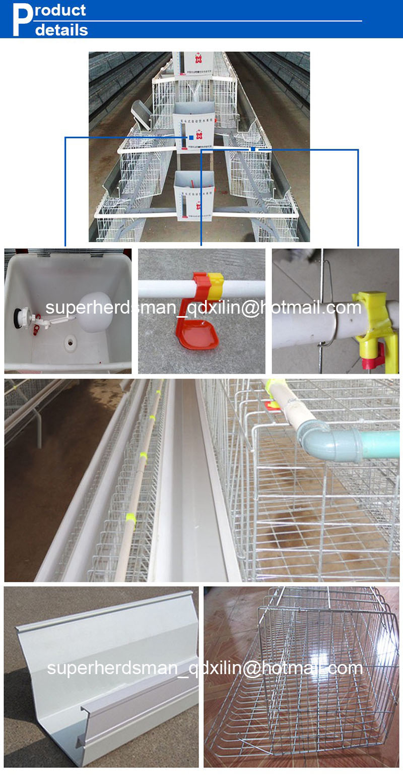 H Type Layer Chicken Cages