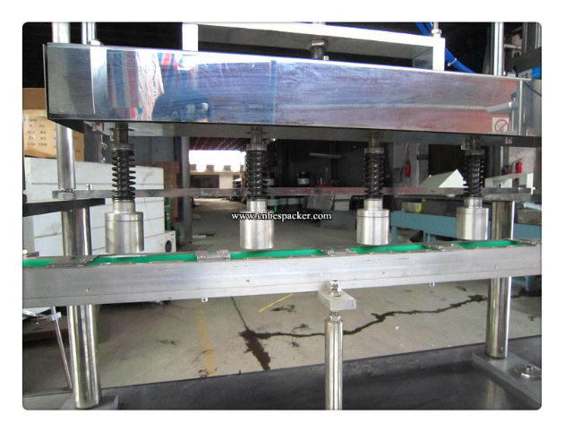 Linear Type Stand up Pouch Filling and Sealing Machine