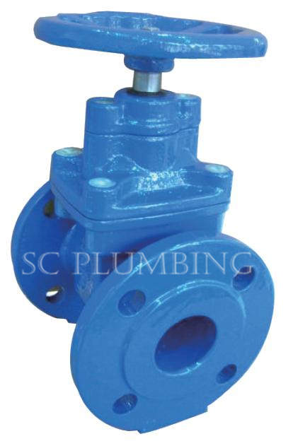 Resilient Seated Gate Valve Bs5163 (Flange end)