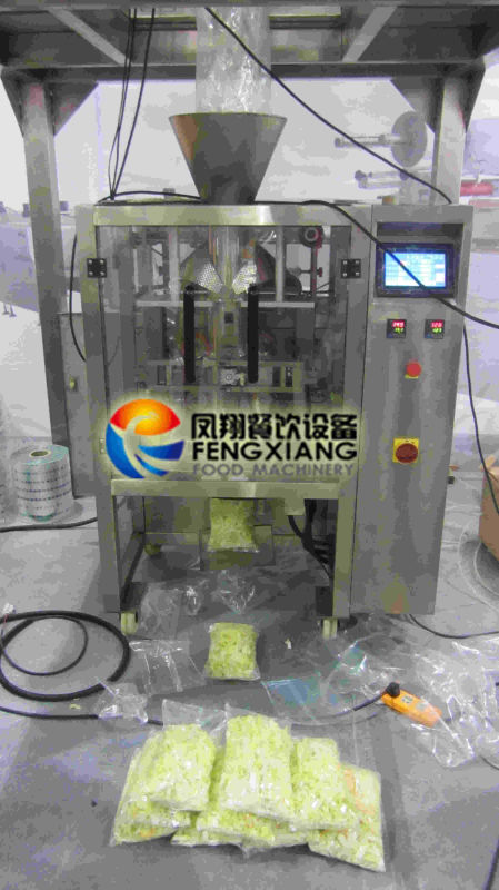 Fl-420 Fully Automatic Plantain Chips Weighing & Packaging Machine (10-1000g/h)