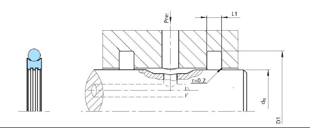 PTFE Rotary Grs Seals