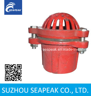 Cast Iron Red Foot Valve