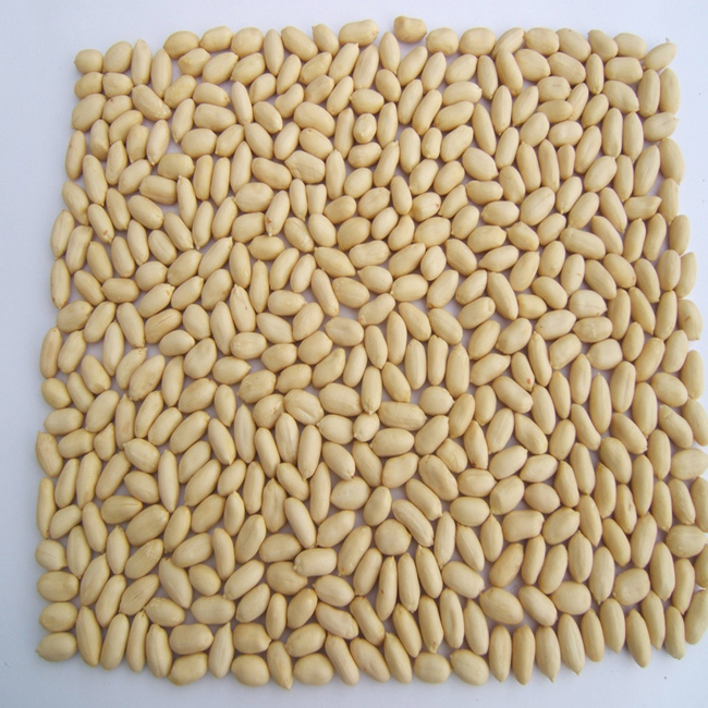 Health Food New Crop Blanched Peanut Kernel