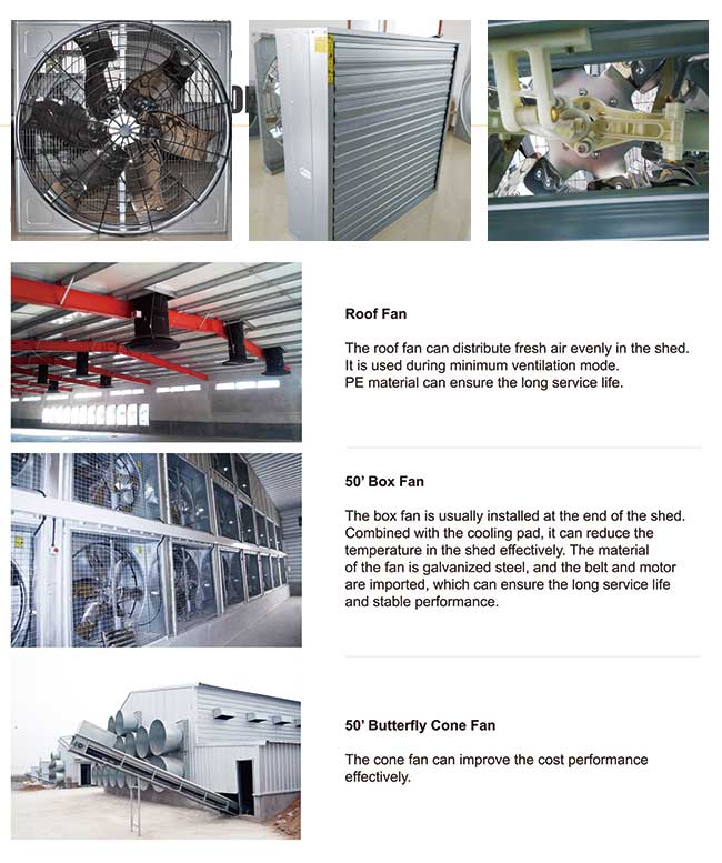 Automatic Environment Control Equipment Chicken Poultry House Ventilation System