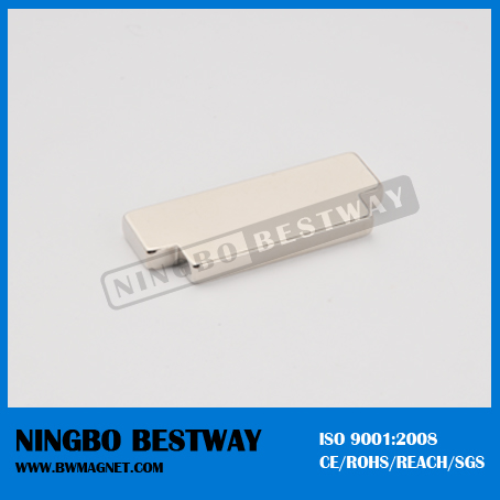 China Customer Shape NdFeB Magnets