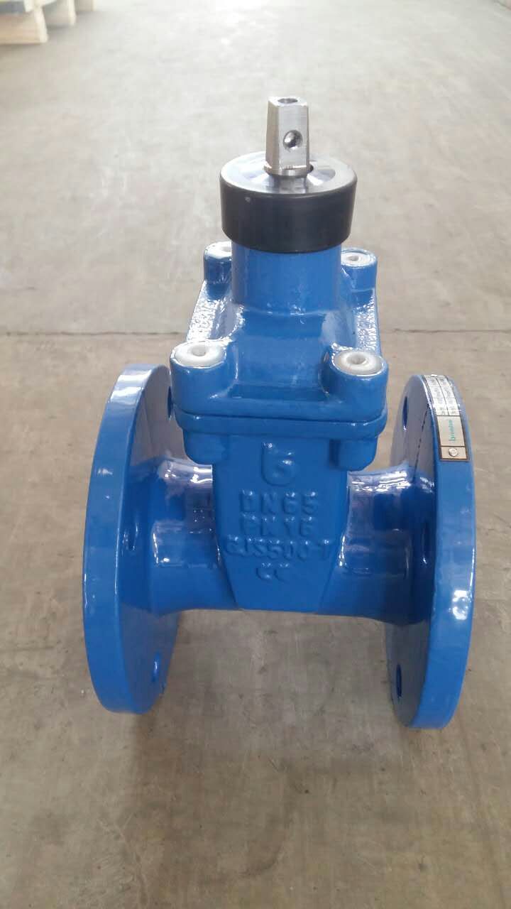 Resilient Seated Gate Valve with Hand Wheel