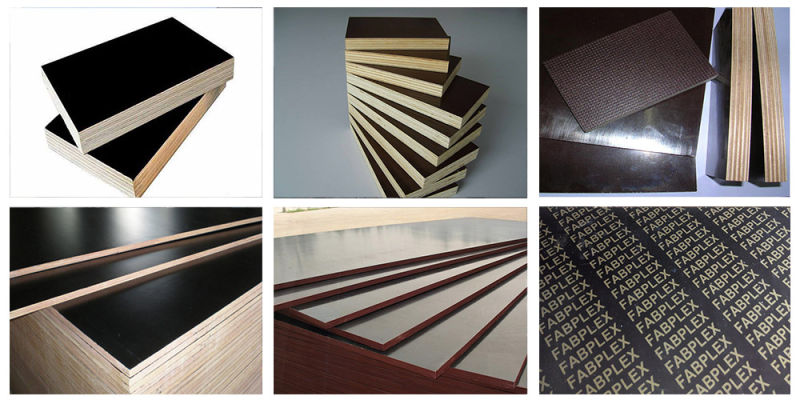 18mm Concrete Film Faced Plywood for Construction (Black/Brown/Dynea Logo Film/HDO/MDO)