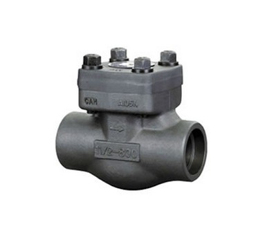 Forged Steel Y Type Check Valve