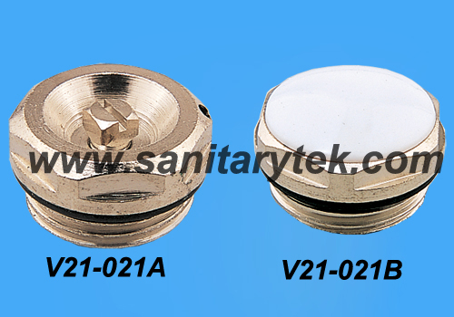 Radiator Air Vent and Radiator Plug (V21-021)