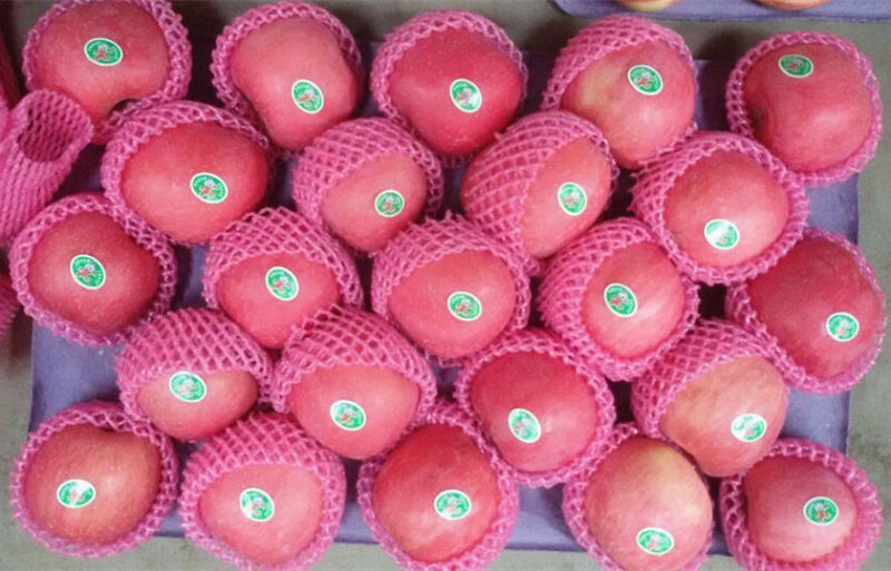 Blush FUJI Apple From Shandong