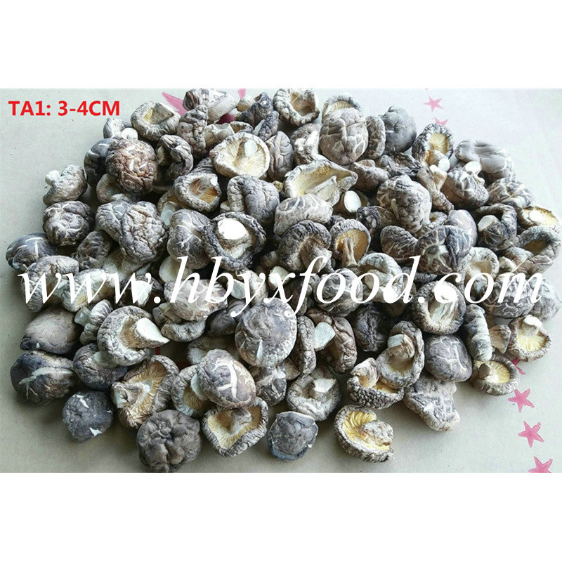 3-4cm Grade a Dry Tea Flower Shiitake Mushroom