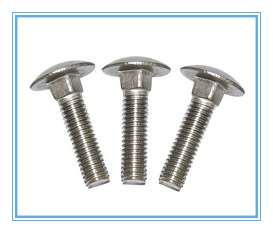 M5-M20 of Round Head Bolts with Stainless Steel