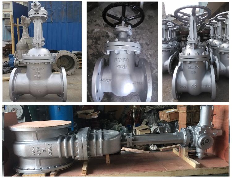 Pn10 Dn600 F4 Gear Operated Wcb Gate Valve