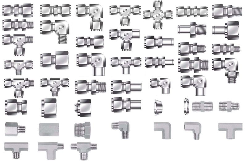 Stainless Steel Pipe & Tube Fitting