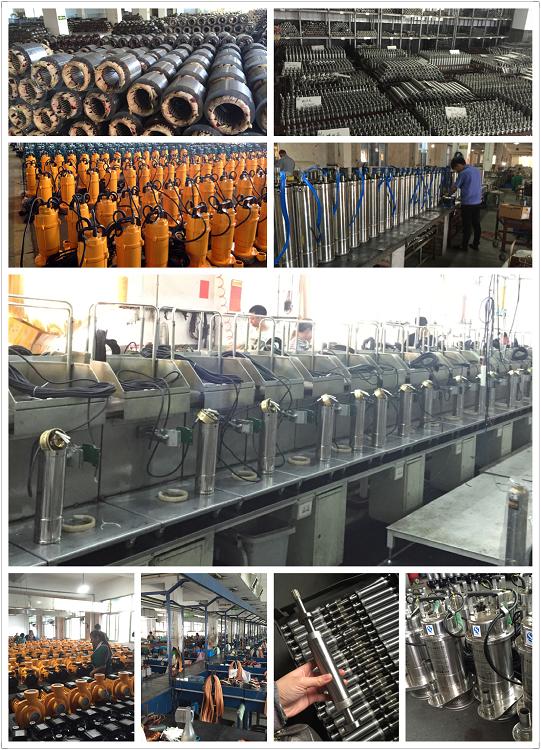 Hight Quality Self Priming Pump (WZB)