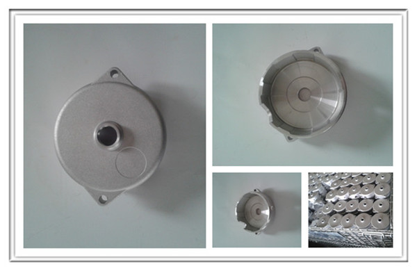 Aluminum Alloy Casting Made Bearing Cover