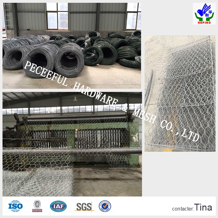 Hot Sale PVC Gabion Box/Gabions (HPZS-1015)