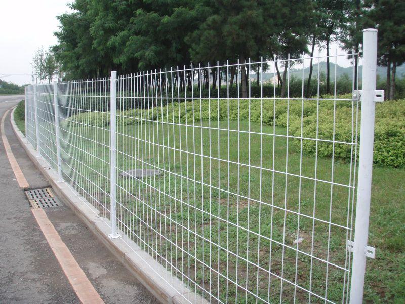 Welded Mesh Fence/ Fence Products