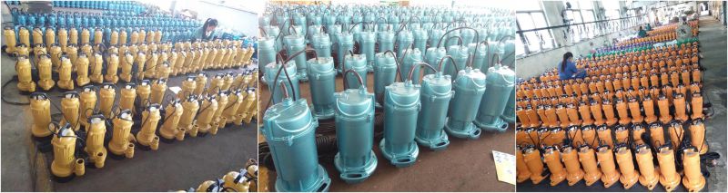 Chimp Qdx Series Irrigation Use Submersible Water Pump