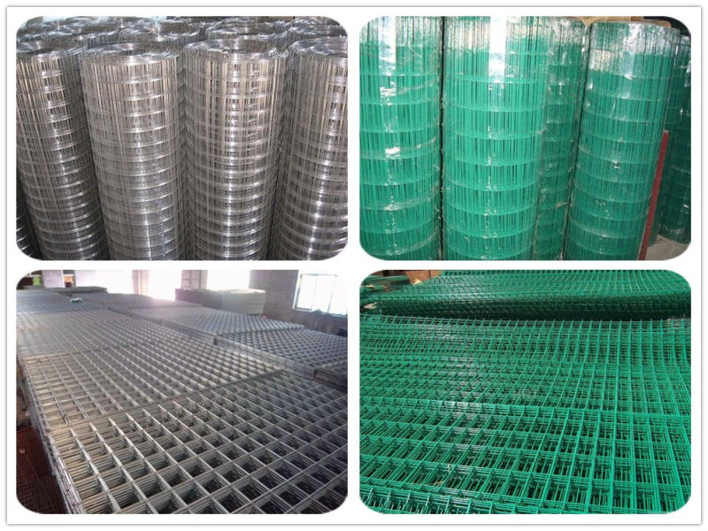 Hot DIP Galvanized /PVC Coated Welded Wire Mesh