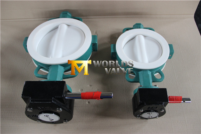 Full PTFE Coated Wafer Type Butterfly Valve with Ce ISO Wras Approved (CBF04-TA01)