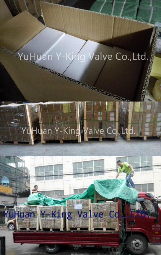 Plastic or Brass Core Brass Spring Check Valve (YD-3001)