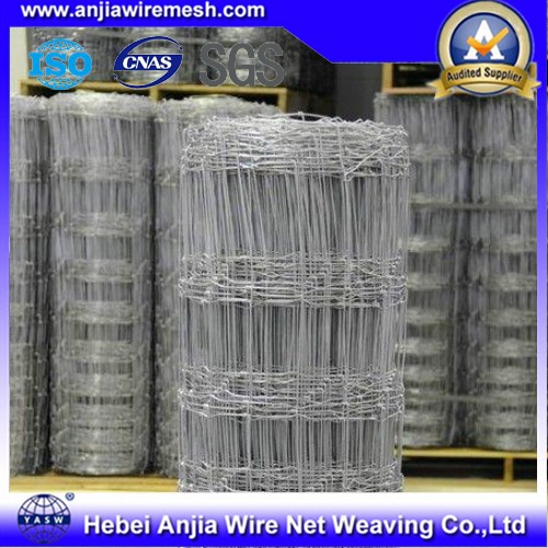 Galvanized Knotted Wire Mesh Cattle Fence Using in Herd, Field Fence, Fixed Fence