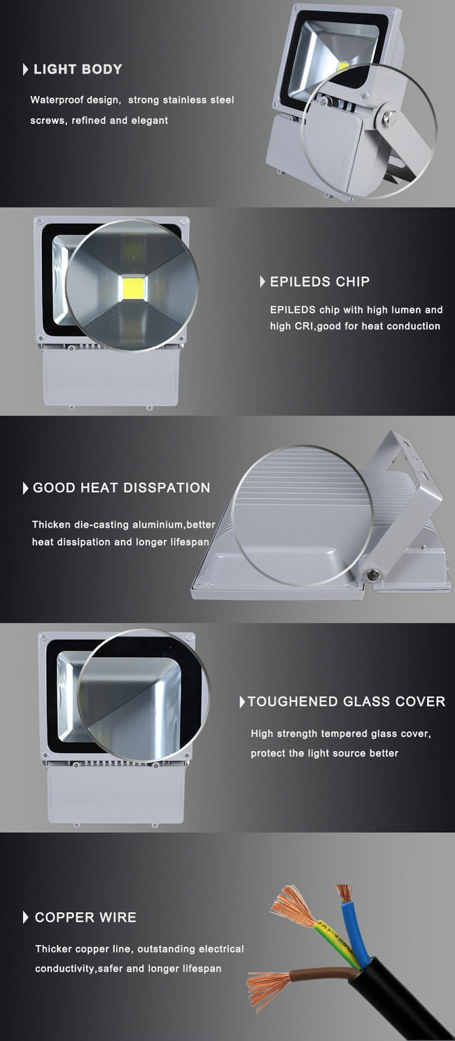 High Brightness Aluminum Housing 100W LED Flood Light