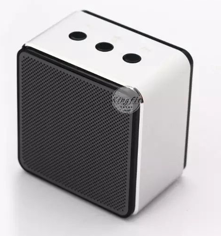 High Quality Aluminum House Bluetooth Speaker