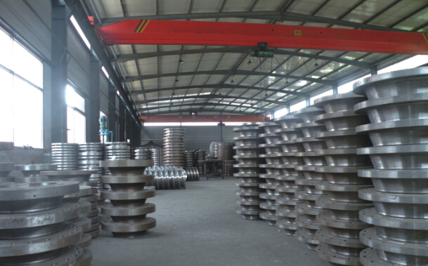 A182 F51 Duplex Stainless Steel Wn Forged Flange (KT0233)