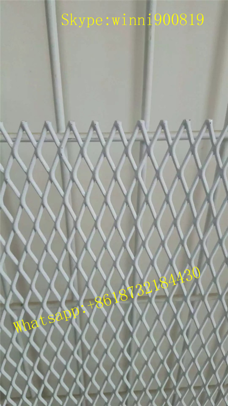 Chinese Professinal Factory Manufacture Expanded Metal Mesh