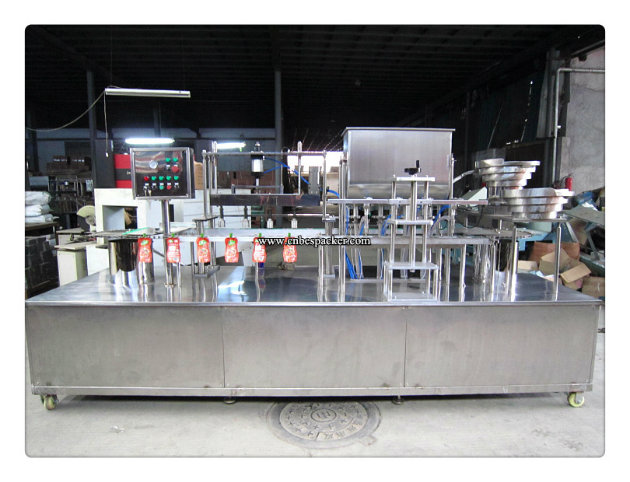 Linear Type Stand up Pouch Filling and Sealing Machine