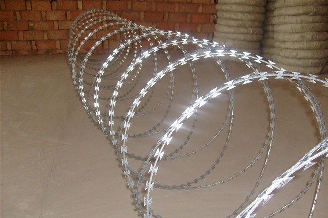 Top Quality Razor Barbed Wire (Factory Price)