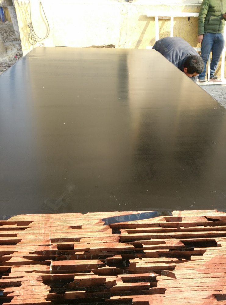 21*1250*2500mm Plywood Poplar Core Black Film