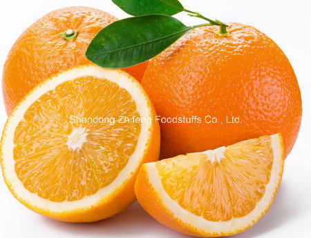 Top Quality Chinese Navel Orange