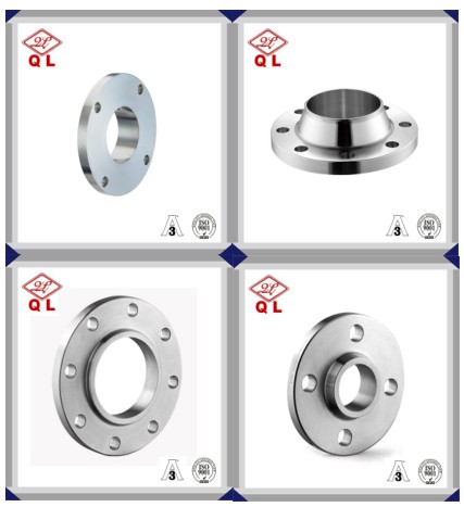 Sanitary Stainless Steel Flange