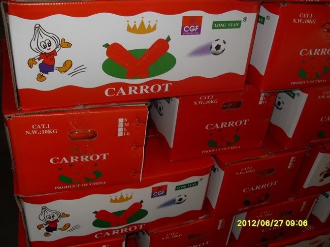 Shandong Fresh Carrot New Crop