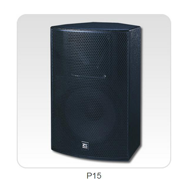 Zsound P15 Professional Stereo Acoustic HiFi Auditorium Speaker