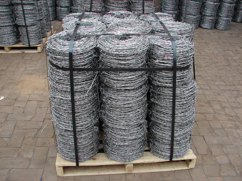 Electric/Hot Dipped Galvanized Barbed Wire